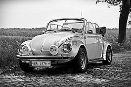 oldtimer,大眾,大眾甲殼蟲