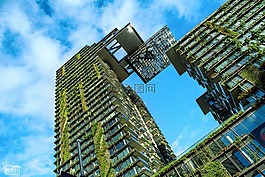 建設(shè),植物,結(jié)構(gòu)