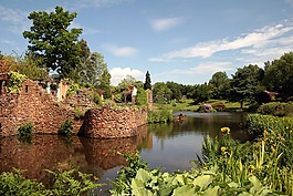 consall,大廳,花園
