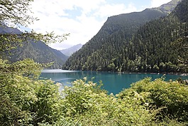 九寨溝,水,樹
