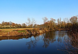 水,池塘,河