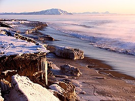 太平洋,海景,波