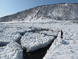 太平洋,海景,波