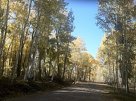國(guó)家,路,農(nóng)村