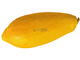 木瓜,水果,熱帶水果