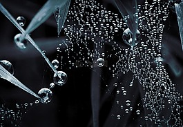 水滴,特寫,web