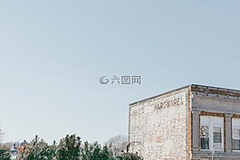 自然,樹,結(jié)構(gòu)