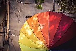 自然,樹,分支機(jī)構(gòu)