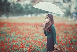 女士,女人,亞洲