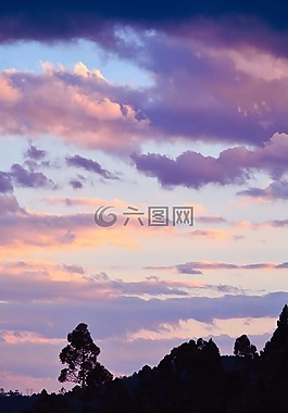 晚霞,山,樹