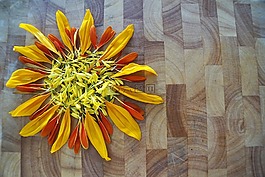 花,太阳花,太阳