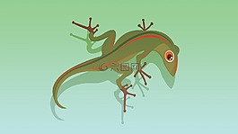 蜥蜴,動物,爬行動物