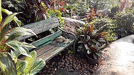 花園,長(zhǎng)凳,放松