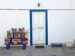 藍色,植物,門