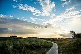 自然,景觀,路徑