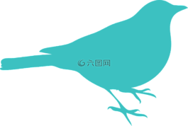 黑鳥,鳥,坐