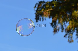 肥皂泡沫,豐富多彩,球
