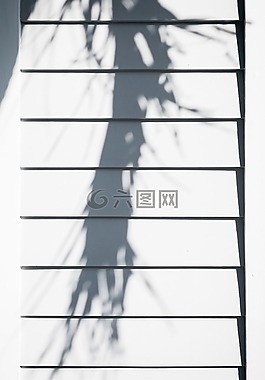 窗口,木材,白