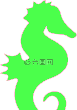 海馬,生物,海洋