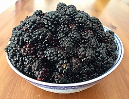 黑莓,水果,食品