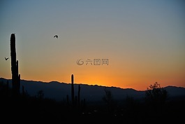 图森,日出,景观