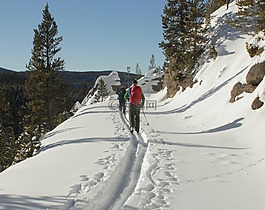 越野滑雪,雪,旅行