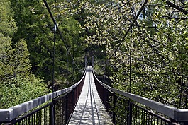 吊橋,橋,過渡