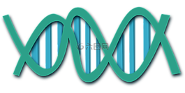 dna,螺旋,科學