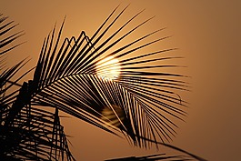 太陽(yáng),日落,夏天