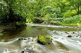 河,水,石
