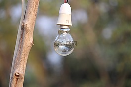 燈泡,光,電力