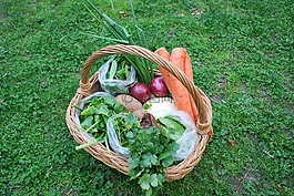 綠色,胡蘿卜,食品