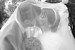 吻,新郎,新娘