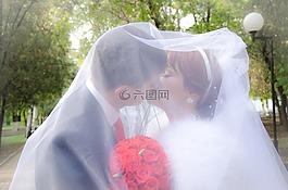 婚禮,吻,新郎
