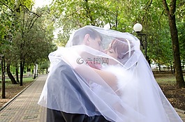 婚禮,吻,新郎
