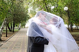 婚禮,吻,新郎