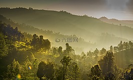 全景,景觀,自然