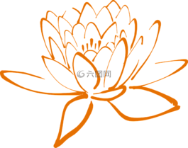 蓮花,開花,花