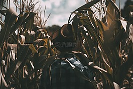 家伙,男子,男