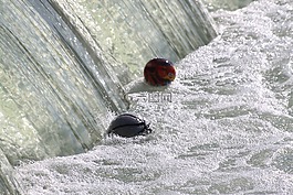 氣球,壩,漩渦