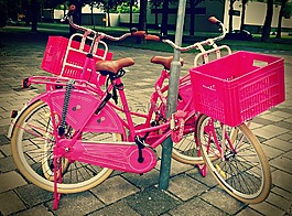 自行車,車輛,運輸