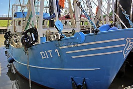 海港,船舶,釣魚