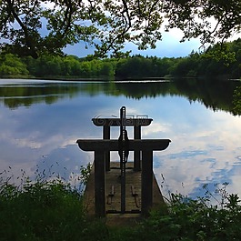 大自然,湖,水