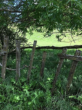 籬笆,公園,農(nóng)場