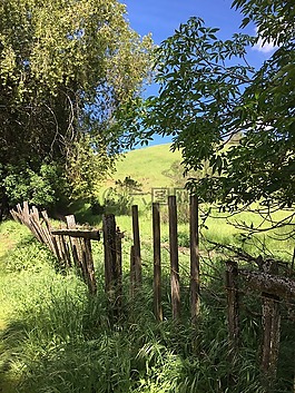 籬笆,戶外,破碎