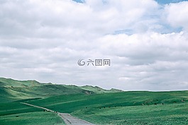 自然,景觀,綠色