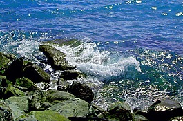海洋,nz,海灘