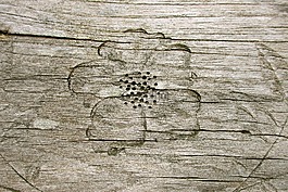 木材,紋理,關(guān)閉了