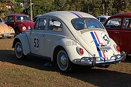 fusca,施康制药,汽车