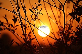 日出,性質(zhì),morgenstimmung